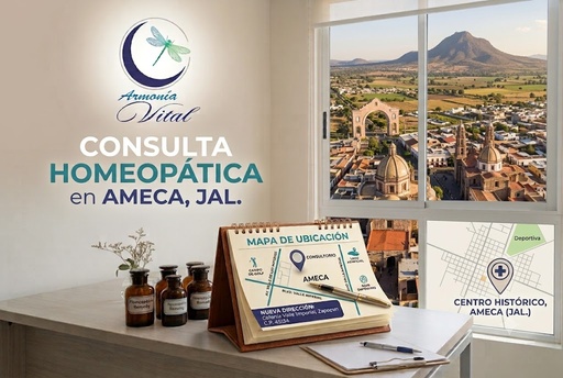 Presencial - Ameca, Jalisco